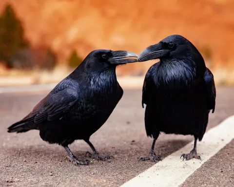 Bird photograph by BG Pfotography