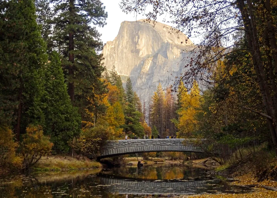 Landscapes gallery cover