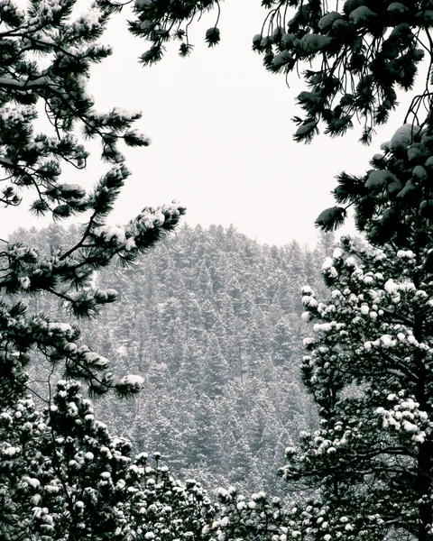 Landscape photograph by BG Pfotography